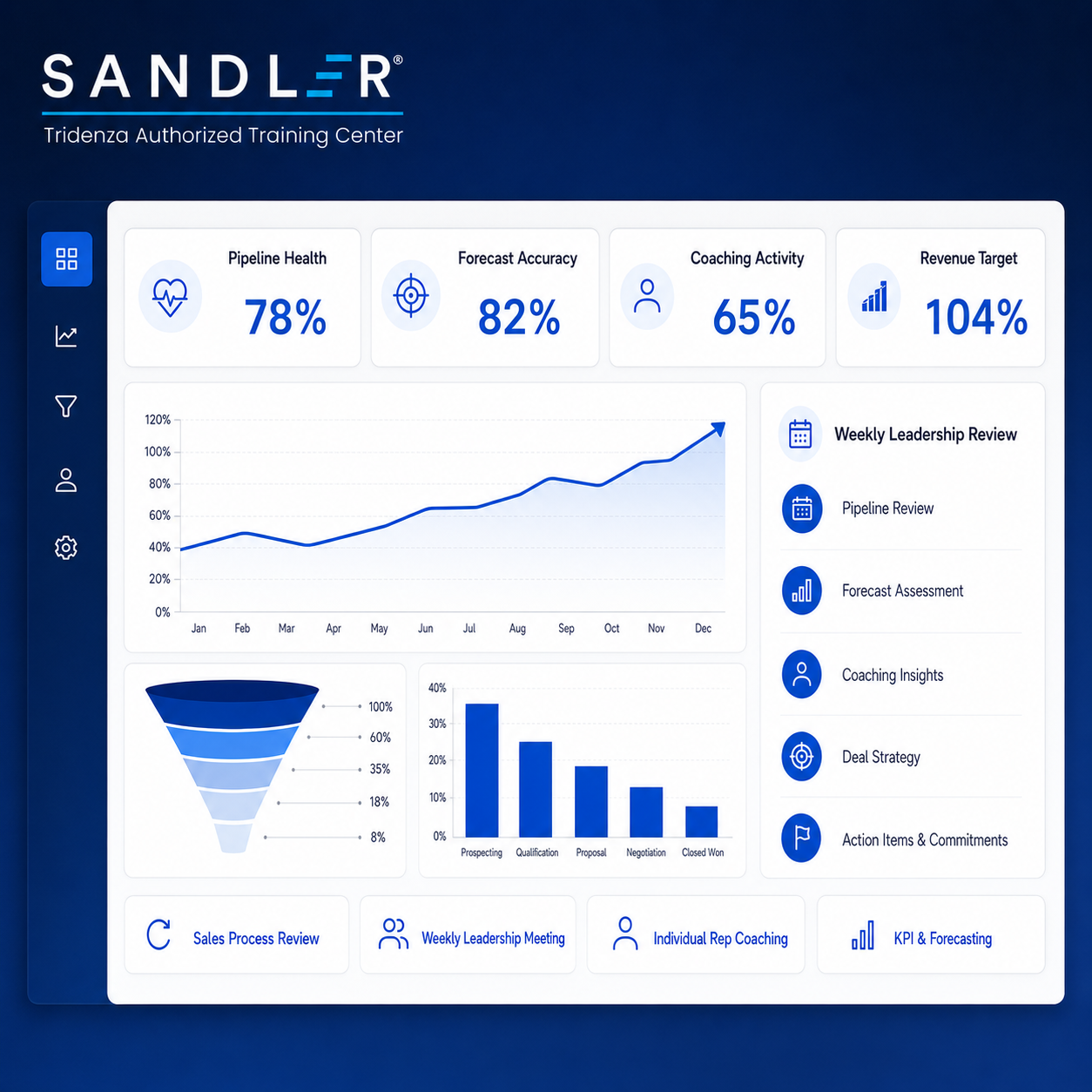 Fractional Sales Leadership Dashboard and Virtual Success Manager Services